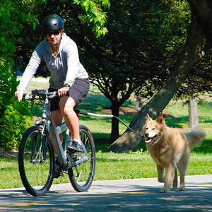 Unleash Adventure with the Stainless Steel Bike Leash for Pet Dogs