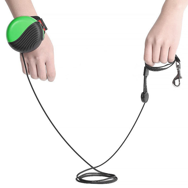 The Perfect Companion for Your Pet Adventures