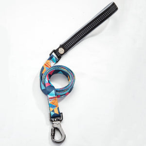 Why the Perfect Dog Leash is Essential for Every Pet Owner