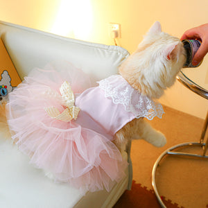 The Perfect Fashion Statement for Your Feline Friend