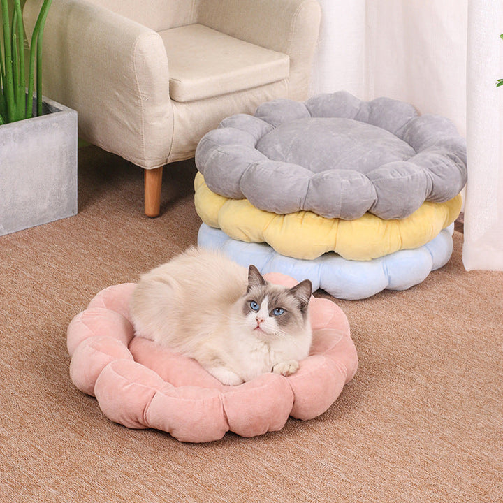 Discover the Comfort of the Multi Color Petal Dog and Cat Nest