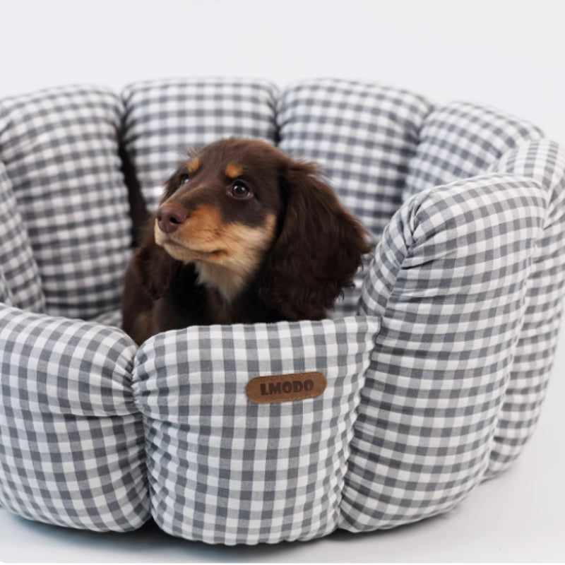 The Ultimate Comfort for Your Furry Friends