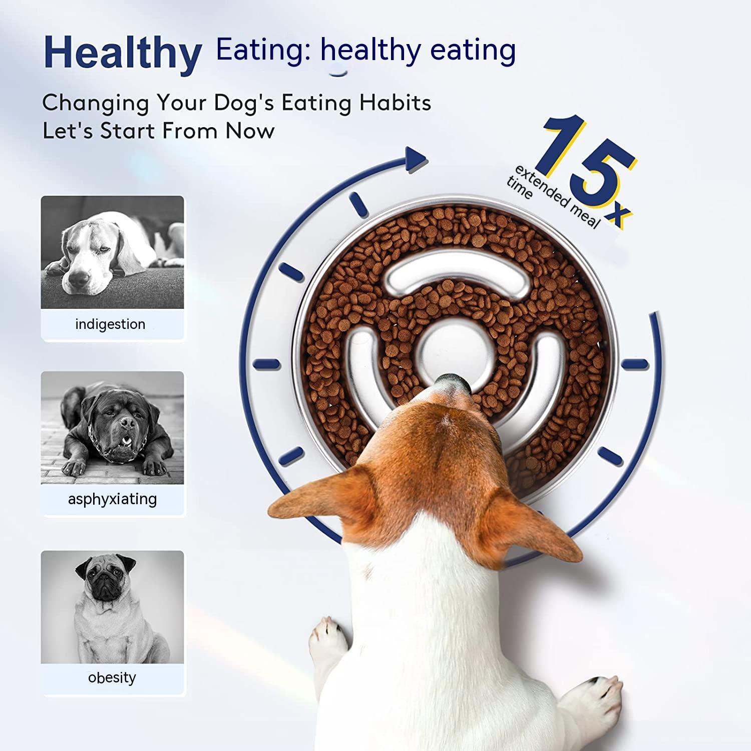 The Ultimate Feeding Bowl with Neck Protector