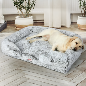 Creating a Cozy Pet Bed Space