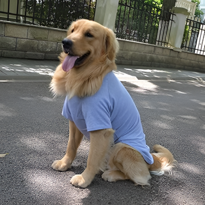 Stylish and Comfortable Pet Clothing