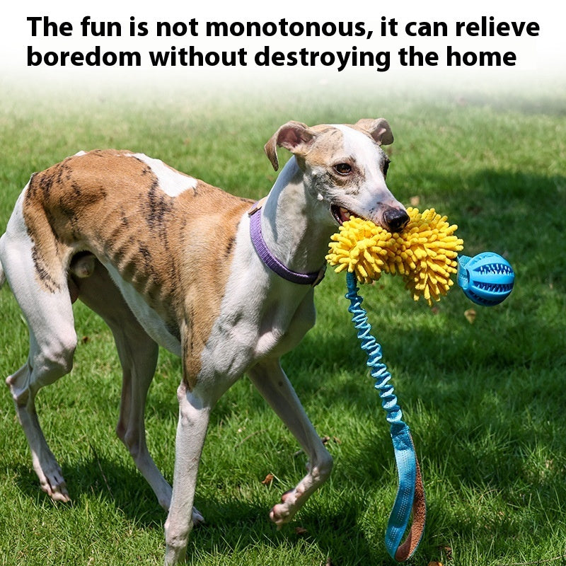 Bite-resistant Tug-of-war Pet Toy