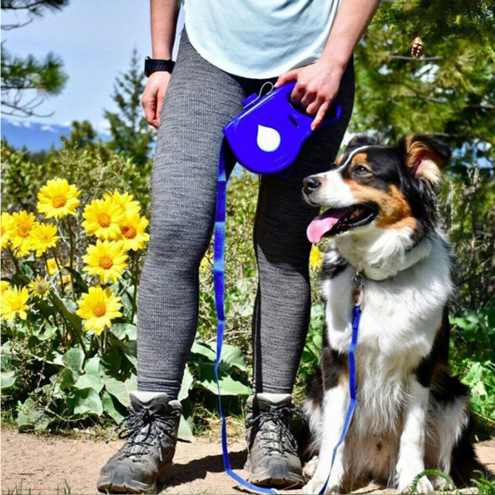Retractable Leash Portable Dog Leash
