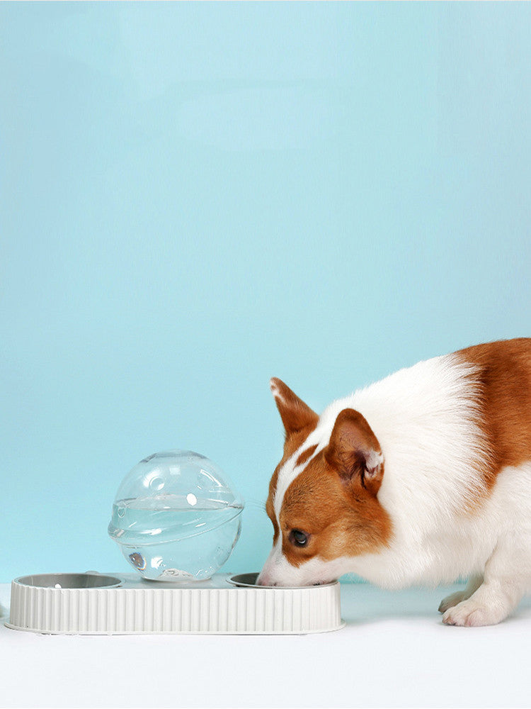 Plastic Pet Feeding Drinkers