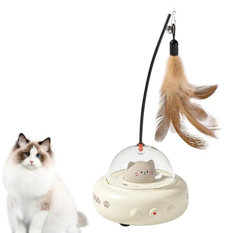 Interactive Toy Pet Toys With Feather