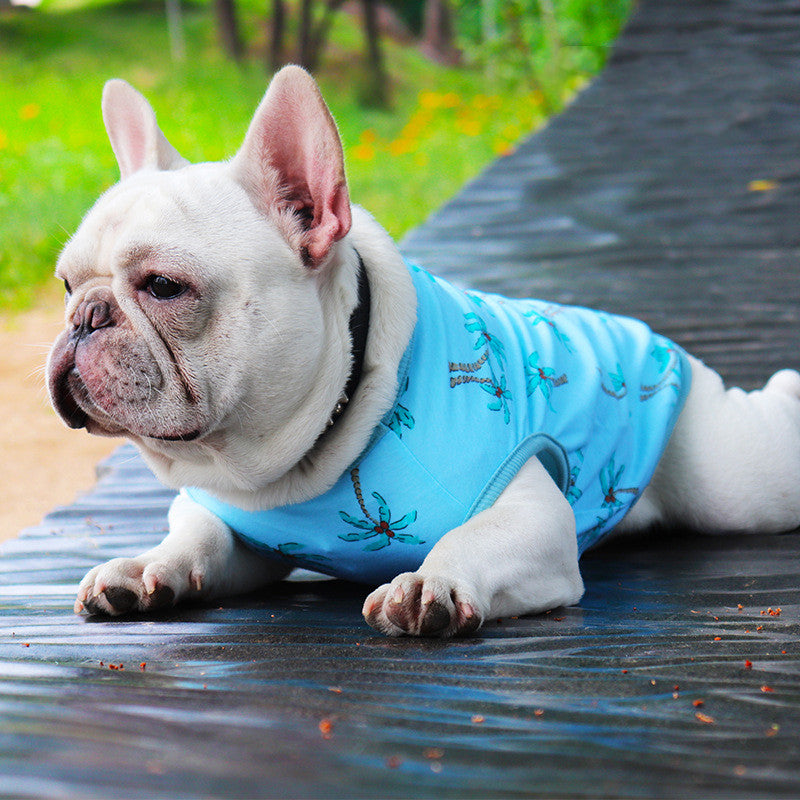 dog clothes summer thin cat Teddy
