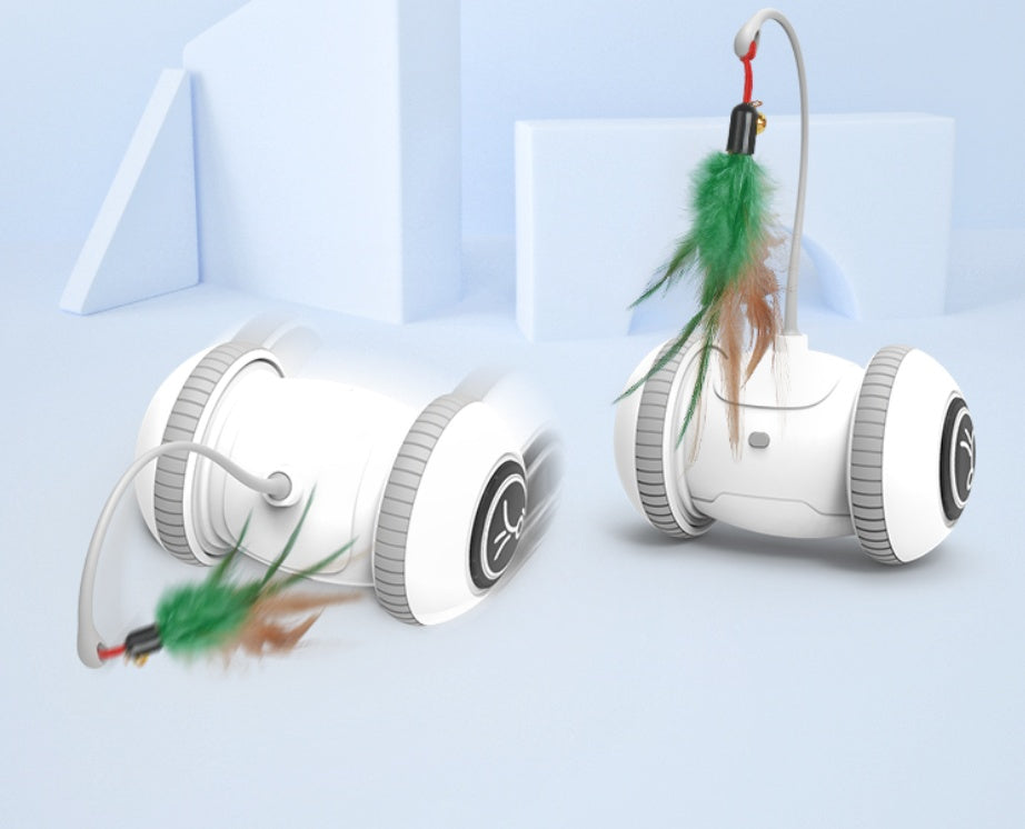 Interchangeable Heads  Pet Feather Toys
