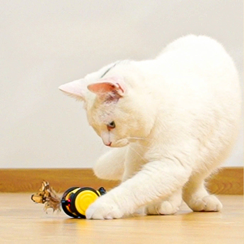 Electric Cat Car Toy Cute Bee Running Toys