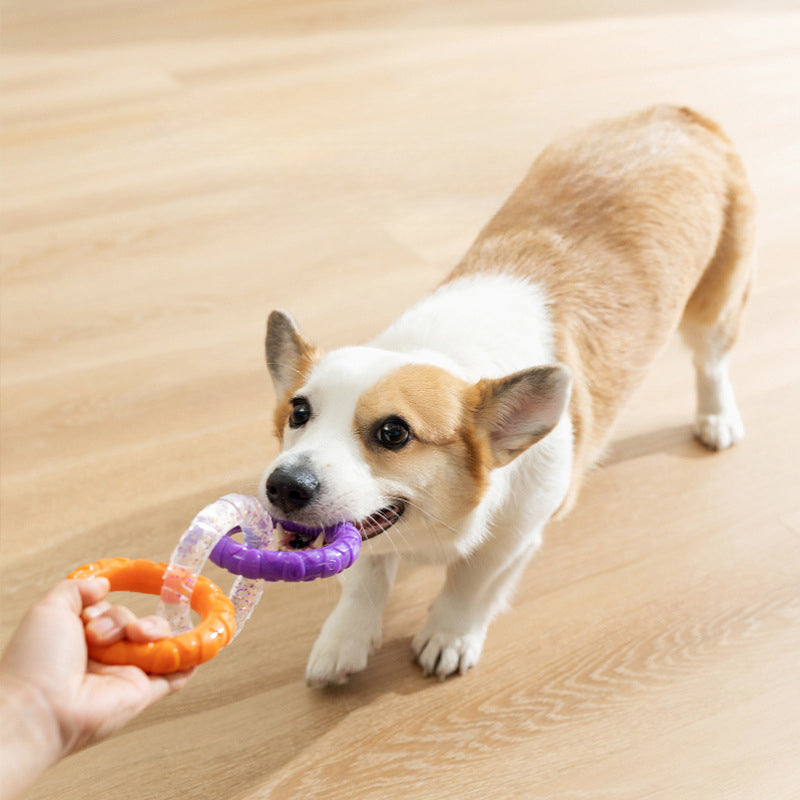 Floating Water Dog Toys Pet Flying Disk