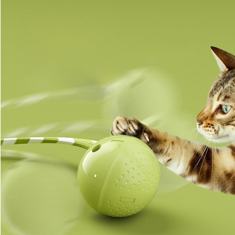 Cat Ball Toys Interactive Electric Balls