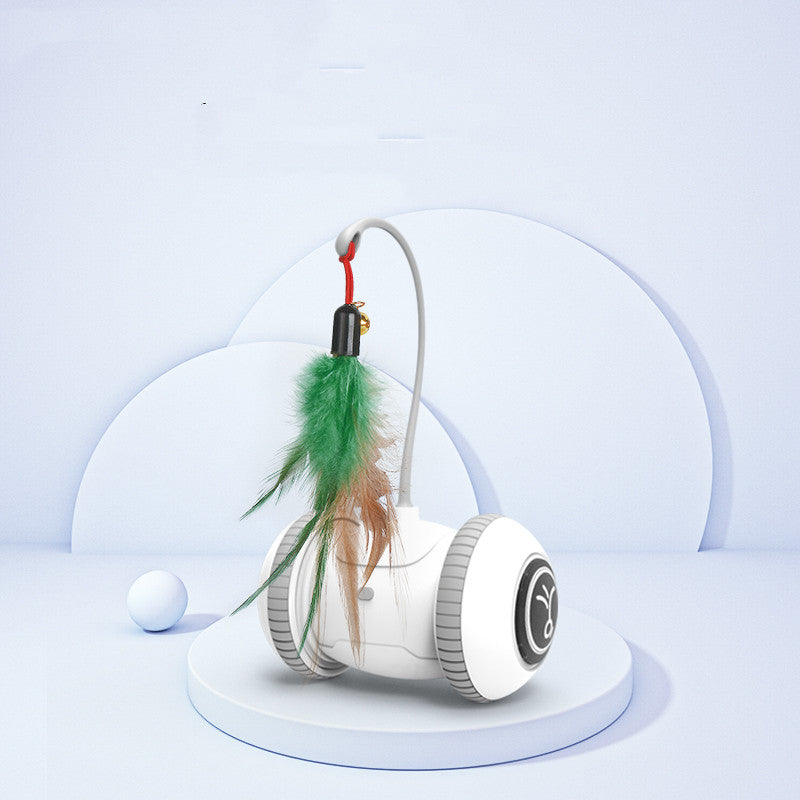 Interchangeable Heads  Pet Feather Toys
