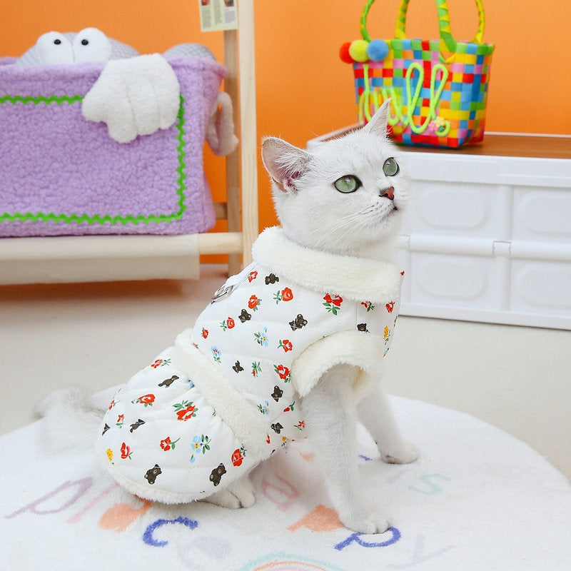 Cat Clothes Autumn And Winter