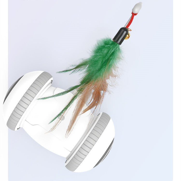 Interchangeable Heads  Pet Feather Toys