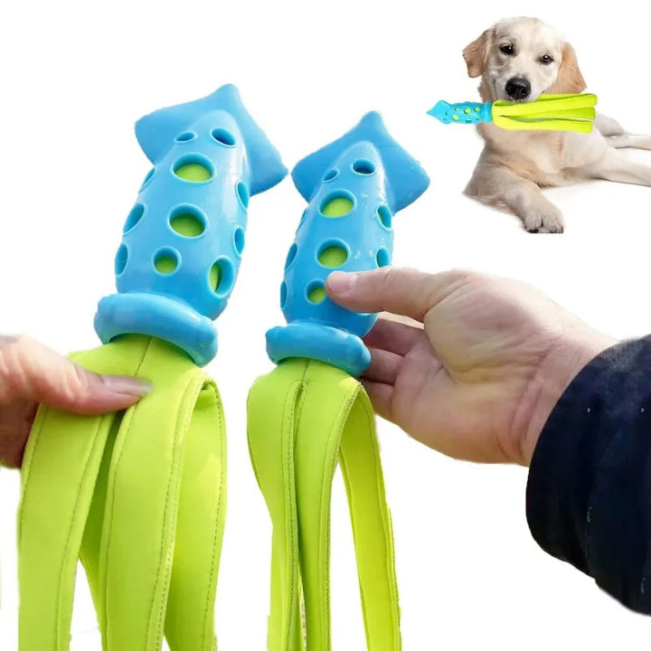 Chew Toy Teeth Cleaning Squeaky Cuttlefish