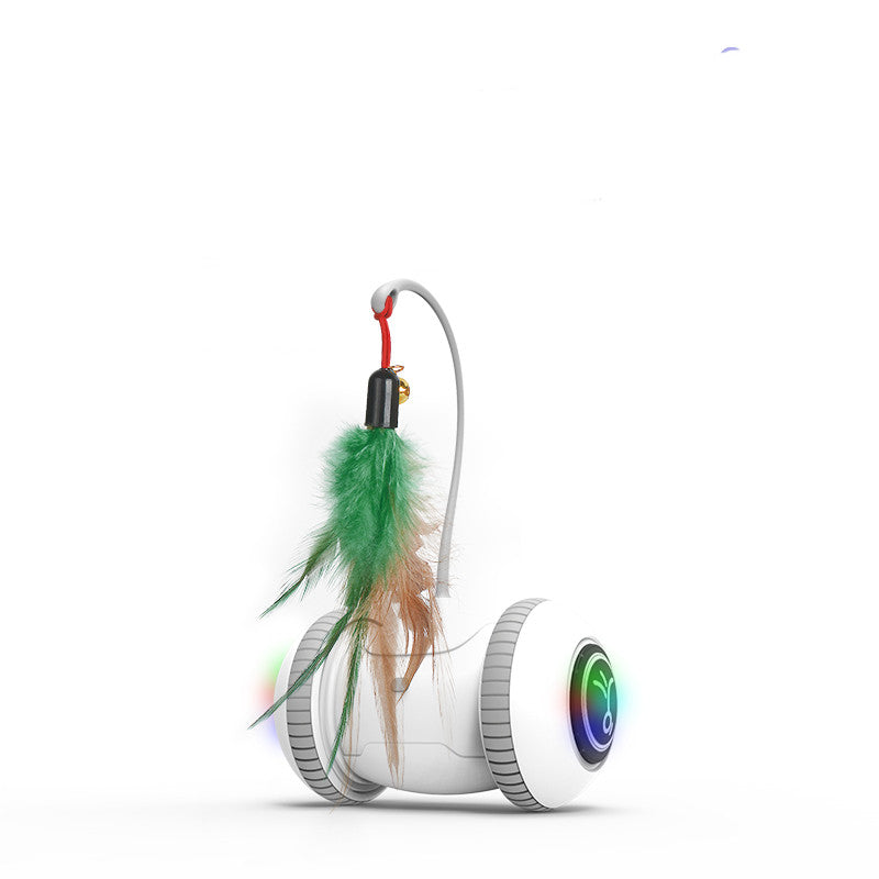 Interchangeable Heads  Pet Feather Toys