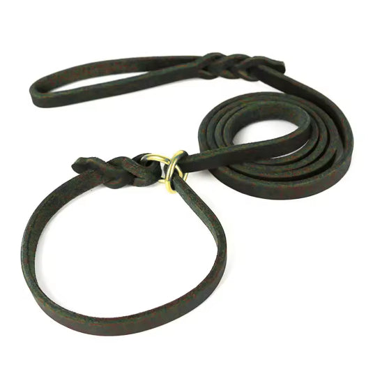 Hand Holding Rope Training Pet Leash