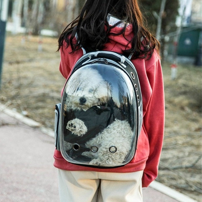 Expandable Transparent Mesh Pet Backpack