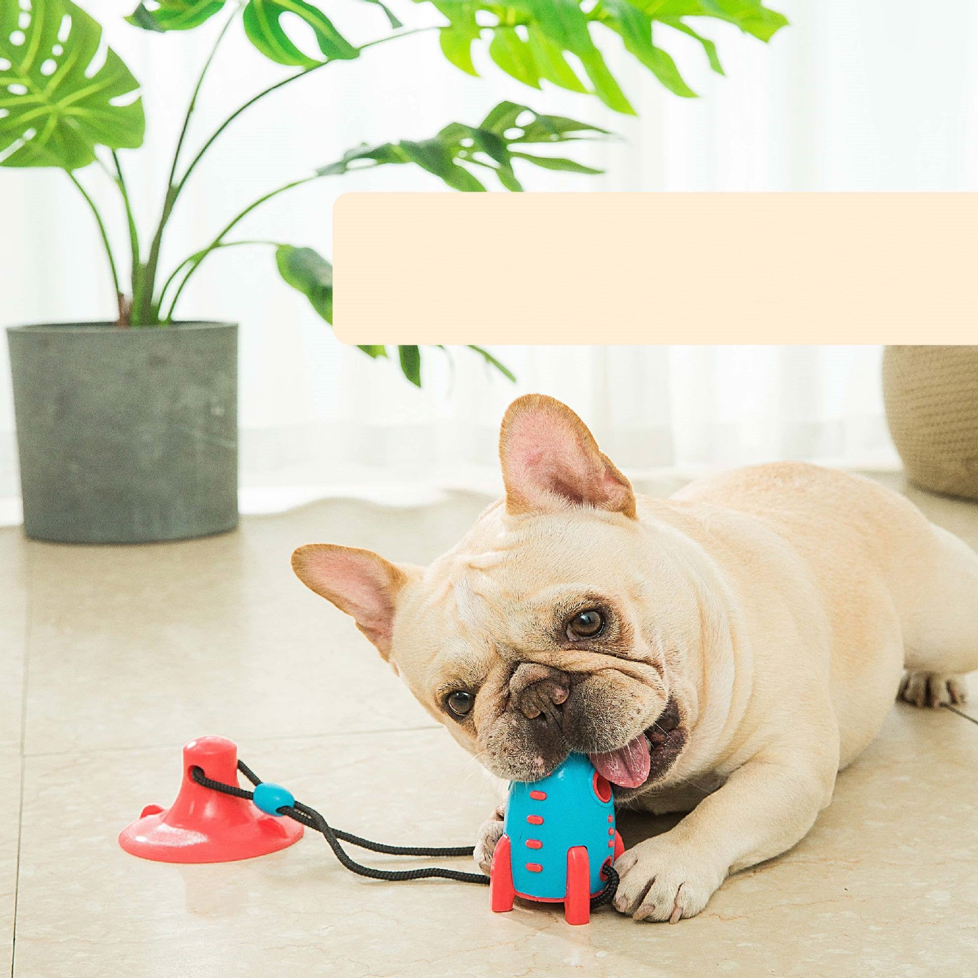 Rocket Dog Toys Leaking Food Toys