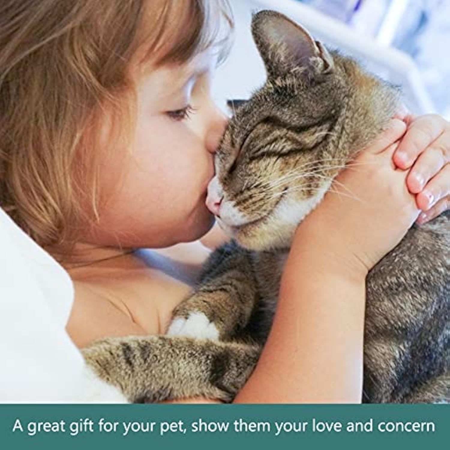 Pet Bowl Pet Feeding Bowl Slow Feeding