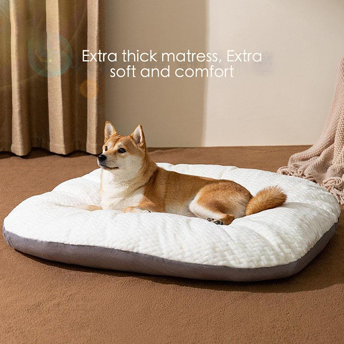Oval Shape Bed Cushion For Large Dogs