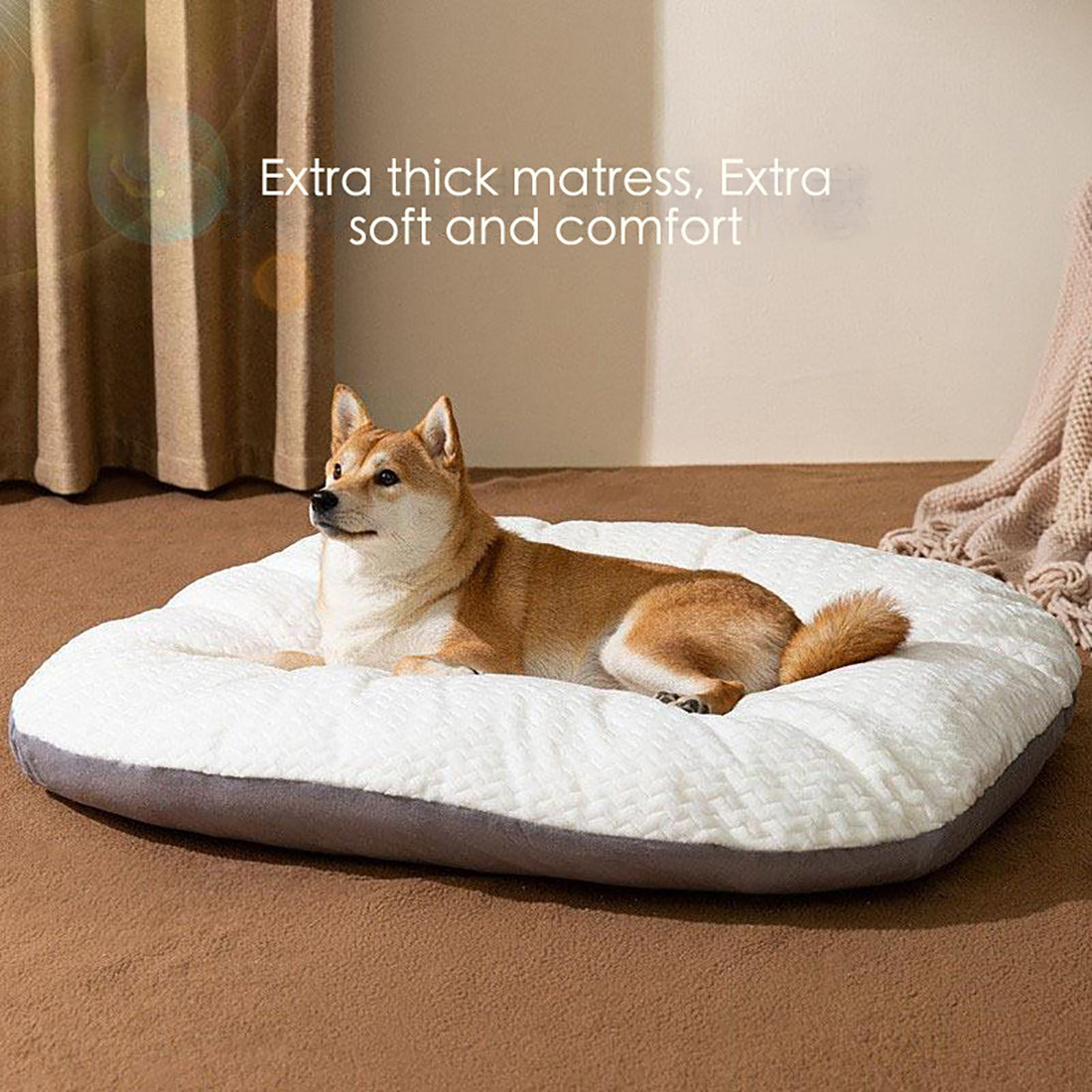 Oval Shape Bed Cushion For Large Dogs