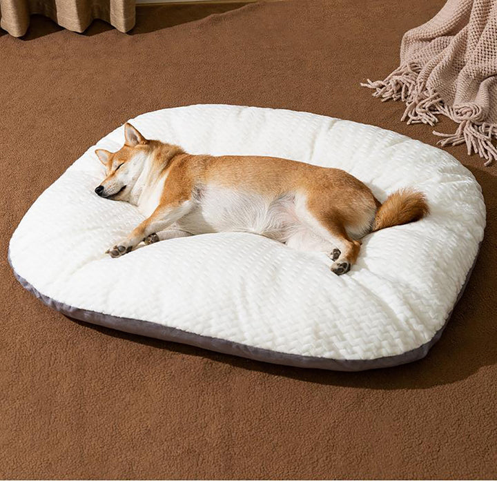 Oval Shape Bed Cushion For Large Dogs