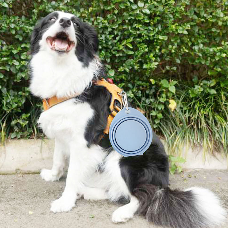 Foldable Bowl Outdoor Portable Feeding