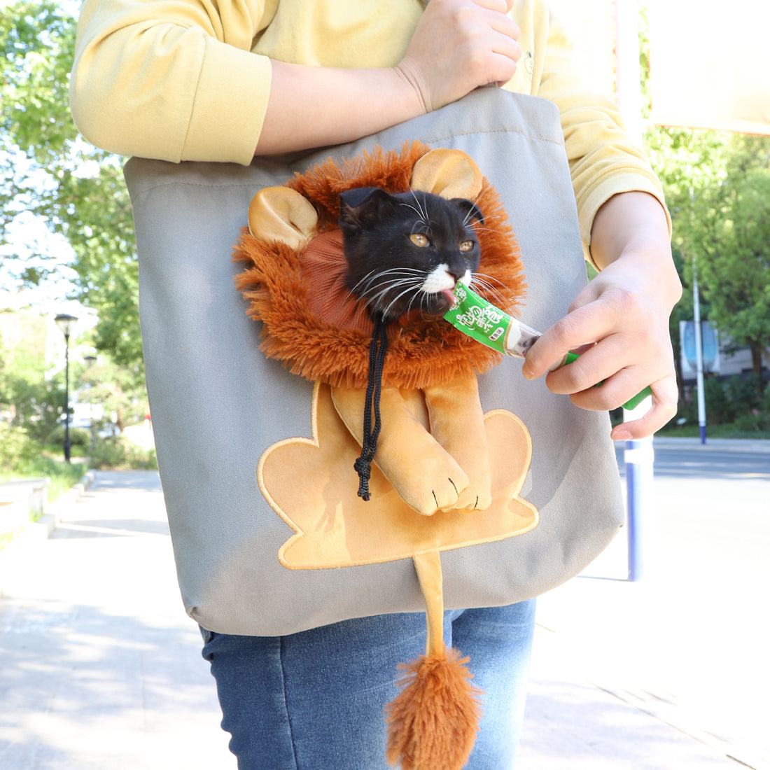 Soft Pet Carriers Lion Design Portable