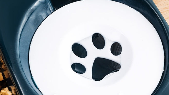 Pet Automatic Cat Food Dog Bowl