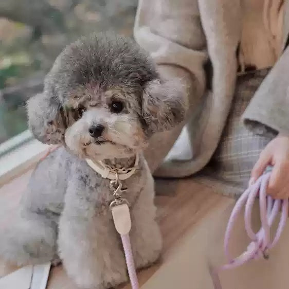 Dog Collar Leather Dog Leash