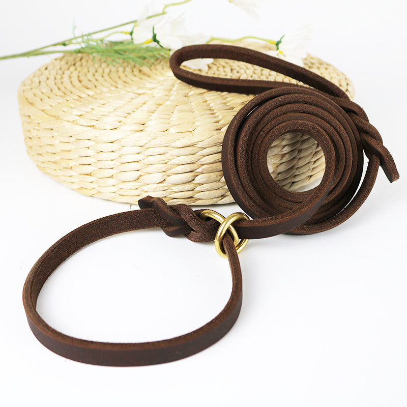 Hand Holding Rope Training Pet Leash