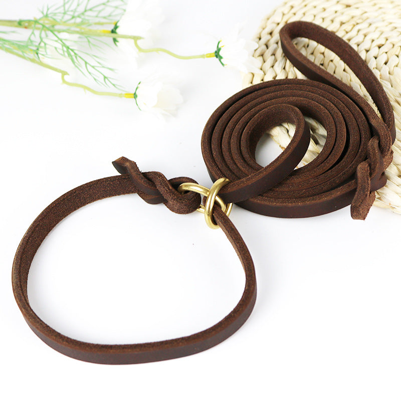 Hand Holding Rope Training Pet Leash