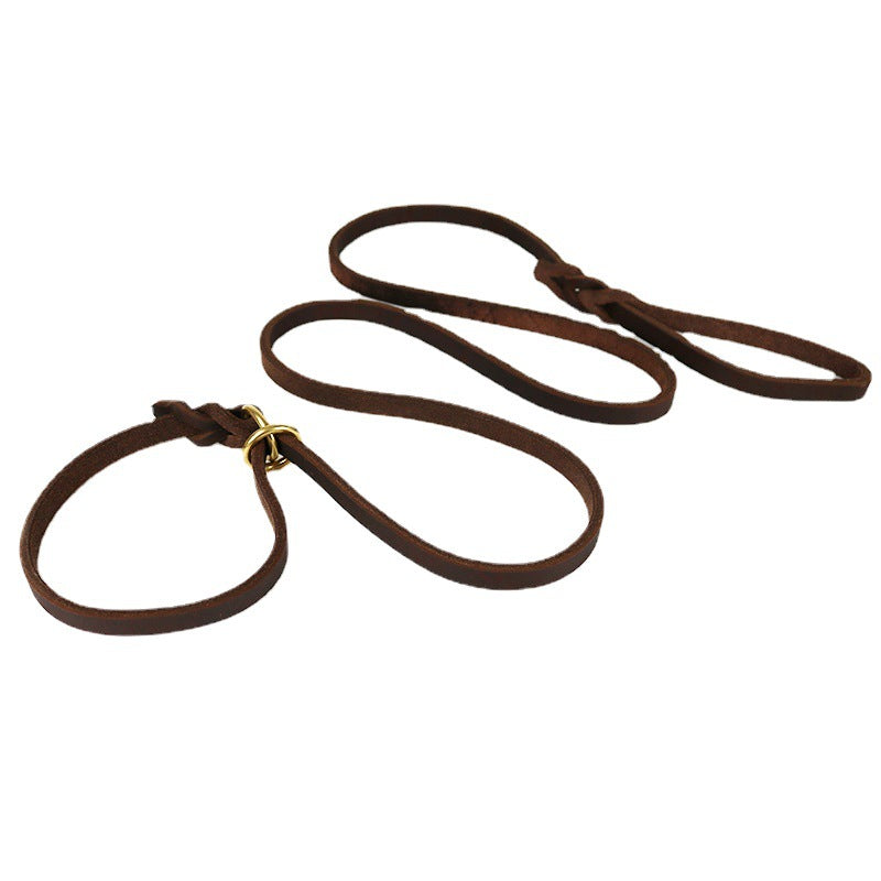 Hand Holding Rope Training Pet Leash