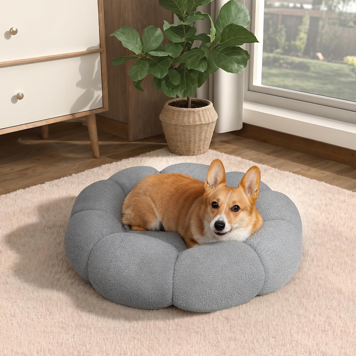 Calming Cat Beds For Indoor Cats Fluffy Flower