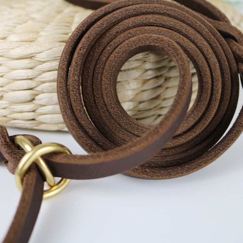 Hand Holding Rope Training Pet Leash