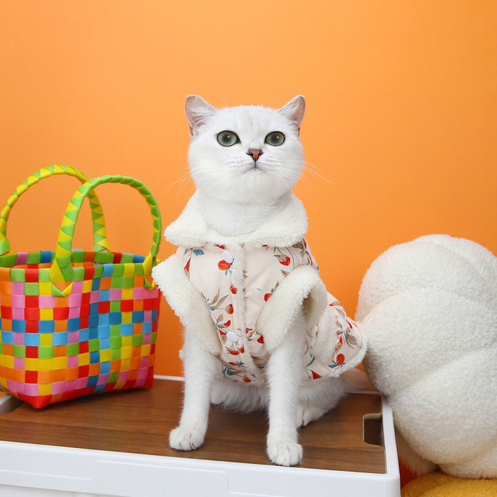 Cat Clothes Autumn And Winter