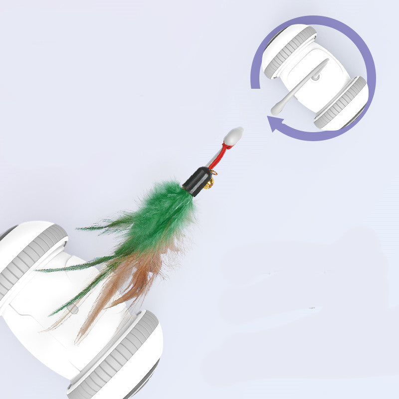 Interchangeable Heads  Pet Feather Toys