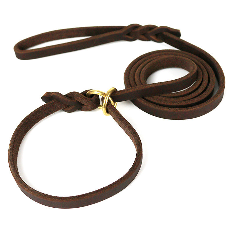 Hand Holding Rope Training Pet Leash