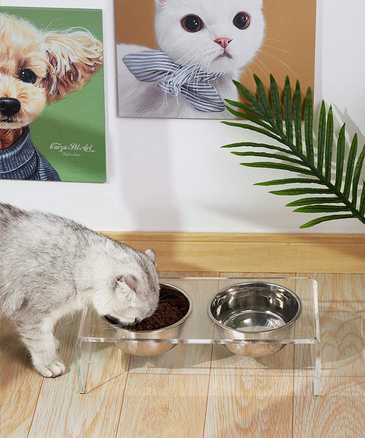 Acrylic Dogs And Cats Pet Feeder