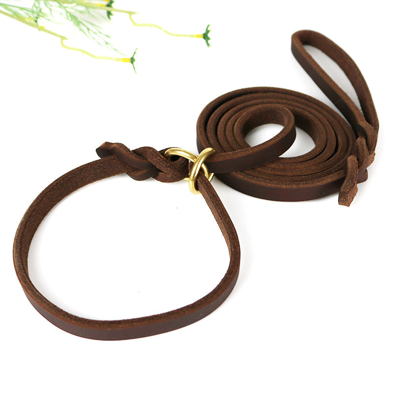 Hand Holding Rope Training Pet Leash