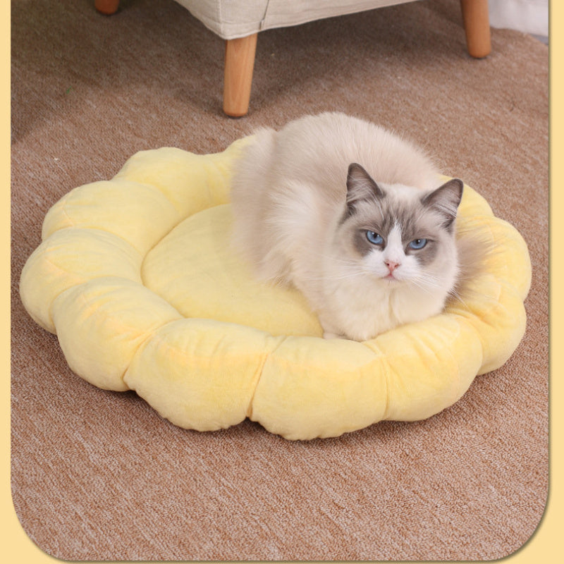Multi Color Petal Dog And Cat Nest