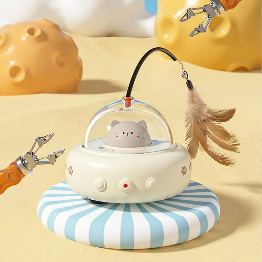 Interactive Toy Pet Toys With Feather