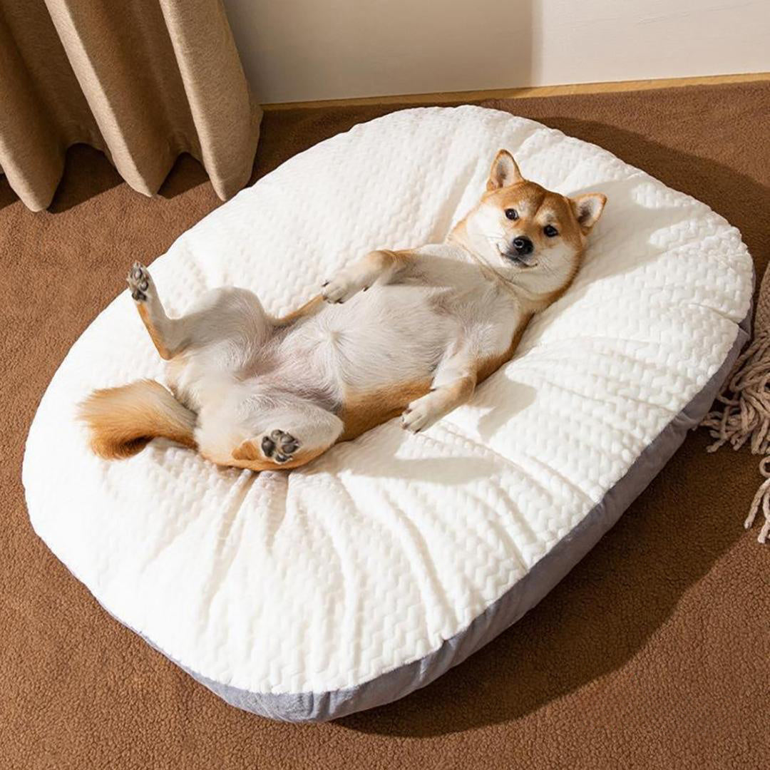 Oval Shape Bed Cushion For Large Dogs