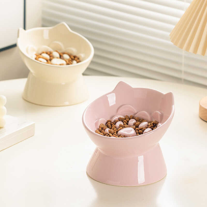 Ceramic Slow Feeding Bowl
