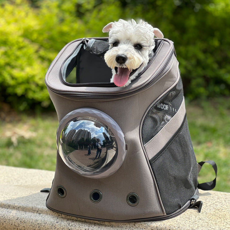 Carrier Portable For Medium-sized Dogs