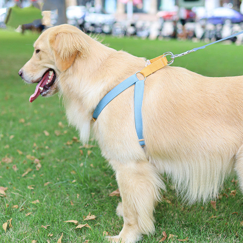 Drawstring Leash Vest-style Dog Leash